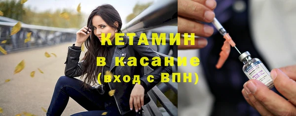 шишки Аркадак
