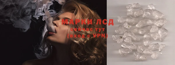 шишки Аркадак