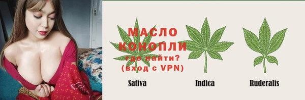 шишки Аркадак
