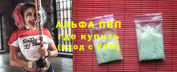шишки Аркадак